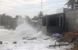 Sóng to, gió lớn gây xâm thực, sạt lở bờ biển tại Bình Thuận
