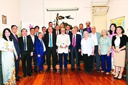 Đoàn Thành ủy TP Hồ Chí Minh thăm và làm việc tại Argentina