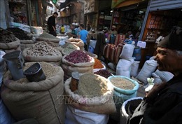 Ai Cập rút khỏi hiệp định ngũ cốc của Liên hợp quốc