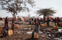 Khoảng 43.000 người tử vong do hạn hán tại Somalia trong năm 2022