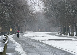 New York đón trận tuyết lớn nhất trong mùa Đông