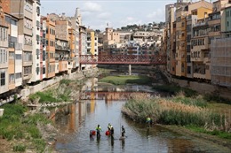 Tây Ban Nha: Giải cứu cá khỏi dòng sông khô cạn do hạn hán
