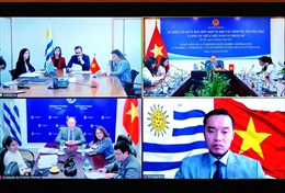 Phát huy hiệu quả quan hệ hợp tác bền vững Việt Nam - Uruguay