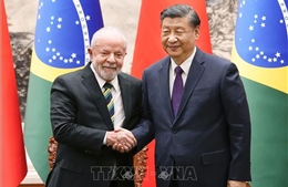Trung Quốc, Brazil nhất trí tăng cường hợp tác trong khuôn khổ BRICS