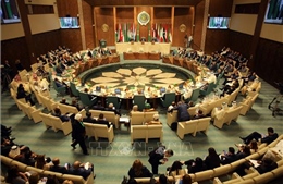 AL thành lập ủy ban liên lạc cấp bộ trưởng để giải quyết khủng hoảng Syria