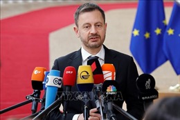 Thủ tướng Slovakia xin từ chức