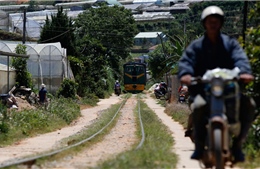 Khẩn trương giải quyết vi phạm hành lang tuyến đường sắt du lịch Đà Lạt - Trại Mát
