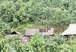 Yên Bái: Một người mất tích, hàng trăm nhà dân bị thiệt hại do dông lốc