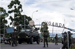 Uganda: Tăng cường truy lùng nhóm khủng bố tấn công trường học