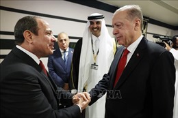 Thổ Nhĩ Kỳ và Ai Cập đẩy nhanh tiến trình khôi phục quan hệ