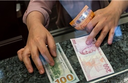 Thổ Nhĩ Kỳ: Ngăn chặn vụ vận chuyển tiền giả lớn nhất trong lịch sử