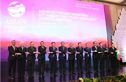 Khai mạc chuỗi Hội nghị Bộ trưởng Kinh tế ASEAN lần thứ 55 