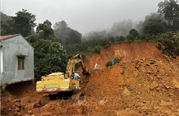 Vụ sạt lở nghiêm trọng tại đèo Bảo Lộc: Vườn sầu riêng có một phần đất rừng