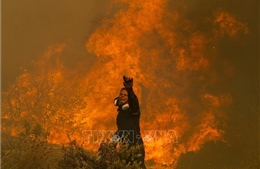 Hy Lạp: Sơ tán người dân ở ngoại ô thủ đô Athens do cháy rừng
