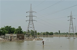 Chính phủ Pakistan họp khẩn cấp về giá điện