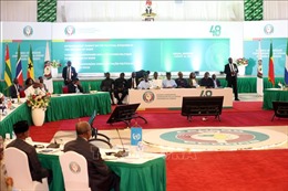 ECOWAS đặt lực lượng dự phòng trong trạng thái sẵn sàng can thiệp Niger