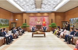 Thúc đẩy hợp tác thiết thực, hiệu quả giữa Quốc hội hai nước Việt Nam - Lào