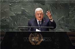 Palestine tái khẳng định yêu cầu được công nhận là thành viên đầy đủ của LHQ