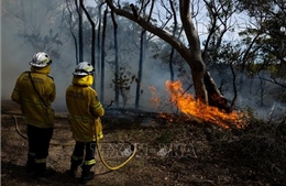 Australia: Bang New South Wales ghi nhận gần 400 vụ cháy rừng trong vòng 7 ngày 