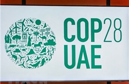 Hội nghị quan trọng trước thềm COP28 không đạt kết quả