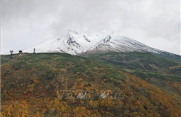 Nhật Bản: Phát hiện thi thể 4 người đi bộ đường dài trên núi Asahi 