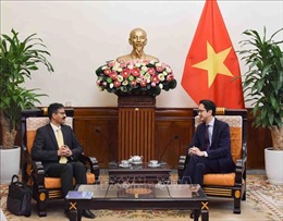 Thứ trưởng Bộ Ngoại giao Đỗ Hùng Việt tiếp Báo cáo viên đặc biệt của LHQ 