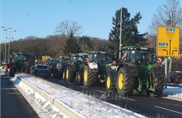 Gián đoạn giao thông nghiêm trọng tại Đức do nông dân biểu tình