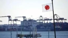 Nhật Bản khẳng định quan điểm nhất quán về duy trì chủ nghĩa hòa bình