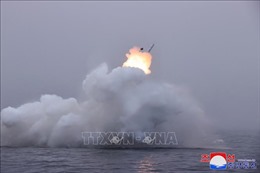 Hàn Quốc theo dõi chặt chẽ vụ Triều Tiên phóng tên lửa hành trình