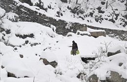 Ấn Độ: Tuyết lở tại Kashmir làm nhiều người mắc kẹt