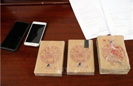 Lai Châu: Liên tiếp phá chuyên án về ma túy, thu giữ hơn 7 bánh heroin