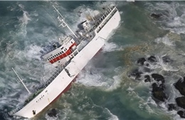 Tàu cá Nhật Bản gặp nạn khiến 1 người mất tích
