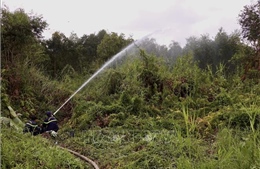 Cơ bản khống chế vụ cháy rừng ở Cà Mau