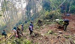 Hai cán bộ kiểm lâm bị tử nạn khi tham gia chữa cháy rừng ở Hà Giang
