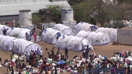 Phát hiện loại muỗi Tây Phi nguy hiểm gây bệnh sốt rét
