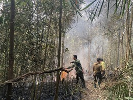 Đám cháy rừng ở huyện Văn Bàn (Lào Cai) đã cơ bản được khống chế