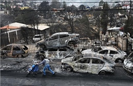 Chile: Bắt giữ nghi phạm gây ra thảm họa cháy khiến 137 người thiệt mạng