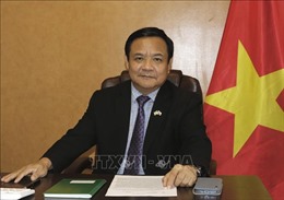 Cột mốc quan trọng hướng tới tầm cao mới trong quan hệ Việt Nam - Brazil