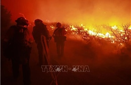 Mỹ: Cháy rừng lan rộng tại California khiến trên 1.000 người phải sơ tán