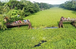 Sập cầu tại Bangladesh khiến ít nhất 19 người thương vong