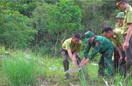 Thả cá thể trăn gấm quý hiếm về môi trường tự nhiên