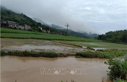 Mưa lớn gây nhiều thiệt hại tại Lào Cai 