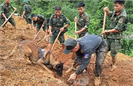 Khẩn trương tìm kiếm các nạn nhân bị vùi lấp trong vụ sạt lở nghiêm trọng tại Hà Giang
