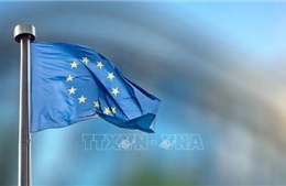 EU ủng hộ dự thảo ngân sách &#39;thắt lưng buộc bụng&#39; của Pháp