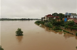 Lũ trên sông Thao đang lên nhanh 