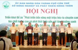 Cần Thơ: Nhân rộng sản xuất lúa chất lượng cao