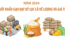 Năm 2024: Xuất khẩu gạo đạt kỷ lục cả về lượng và giá trị