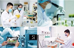 Chính thức vận hành Hệ thống thông tin giám sát, đánh giá việc thực hiện Nghị quyết 57-NQ/TW