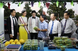 Đưa sản phẩm OCOP, ẩm thực đặc sắc của Ninh Thuận đến với du khách