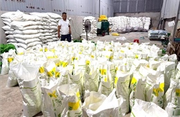Điều tra một doanh nghiệp nghi sản xuất phân bón giả